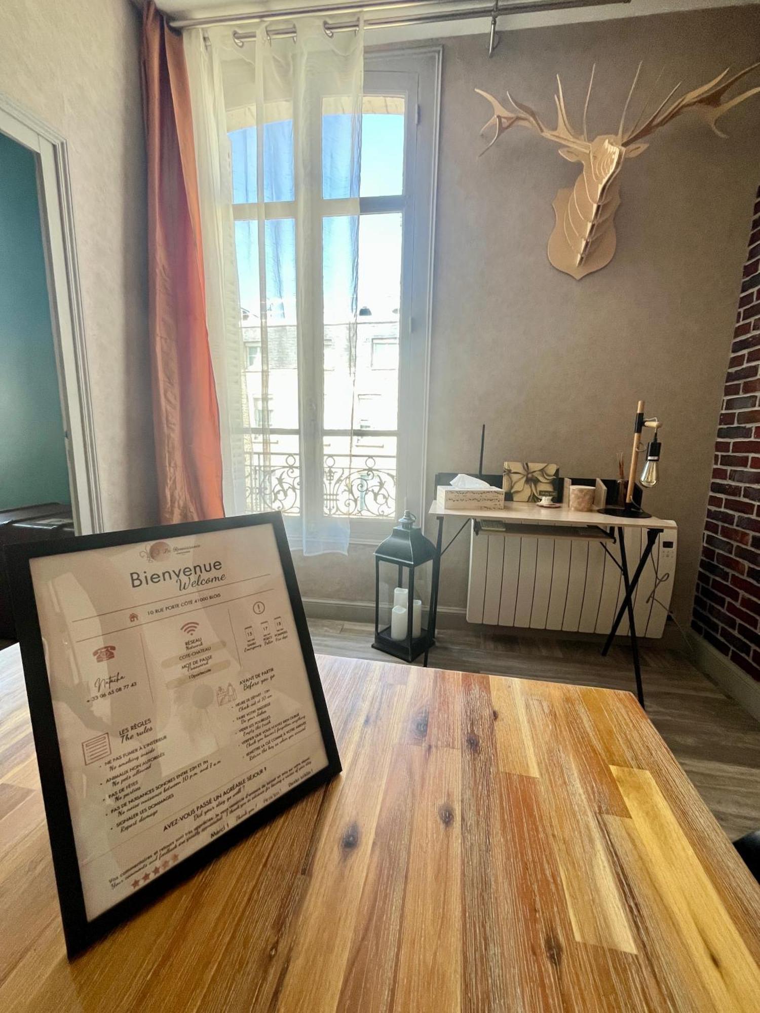 Cote Chateau - Grand Appartement Au Coeur De בלואה מראה חיצוני תמונה